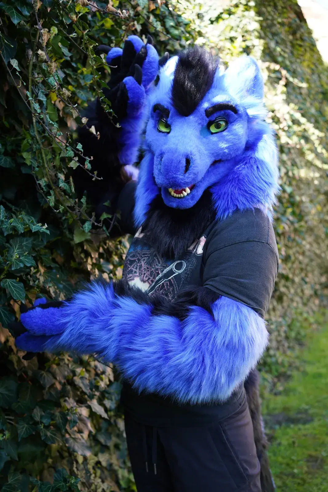 Blue and black semirealistic dragon fursuit head with an open mouth, green eyes and a fluffy mane against an ivy wall