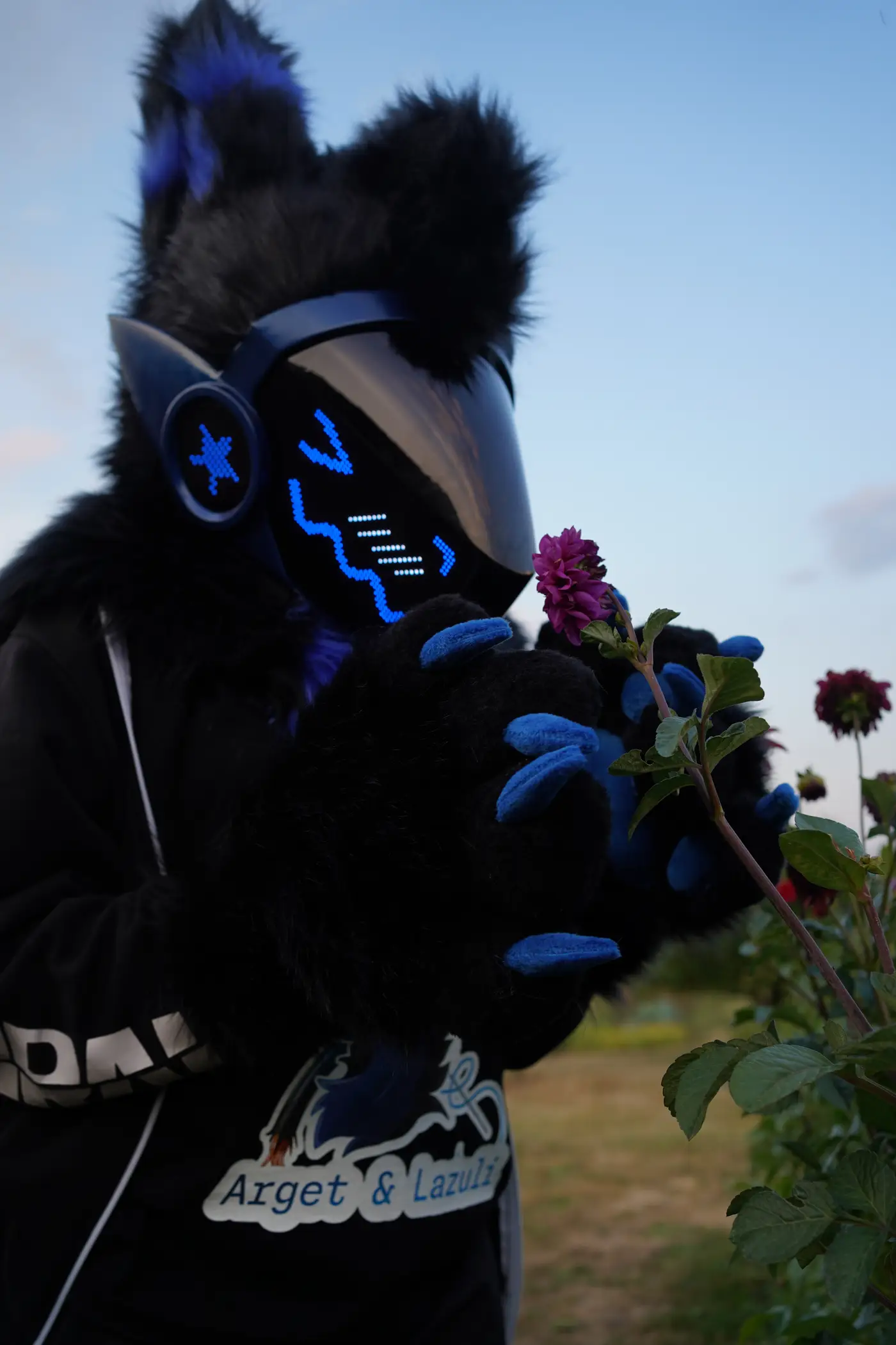Black and blue Protogen partial holding a dark red dahlia at dusk, with a blue LED face and star ear lights
