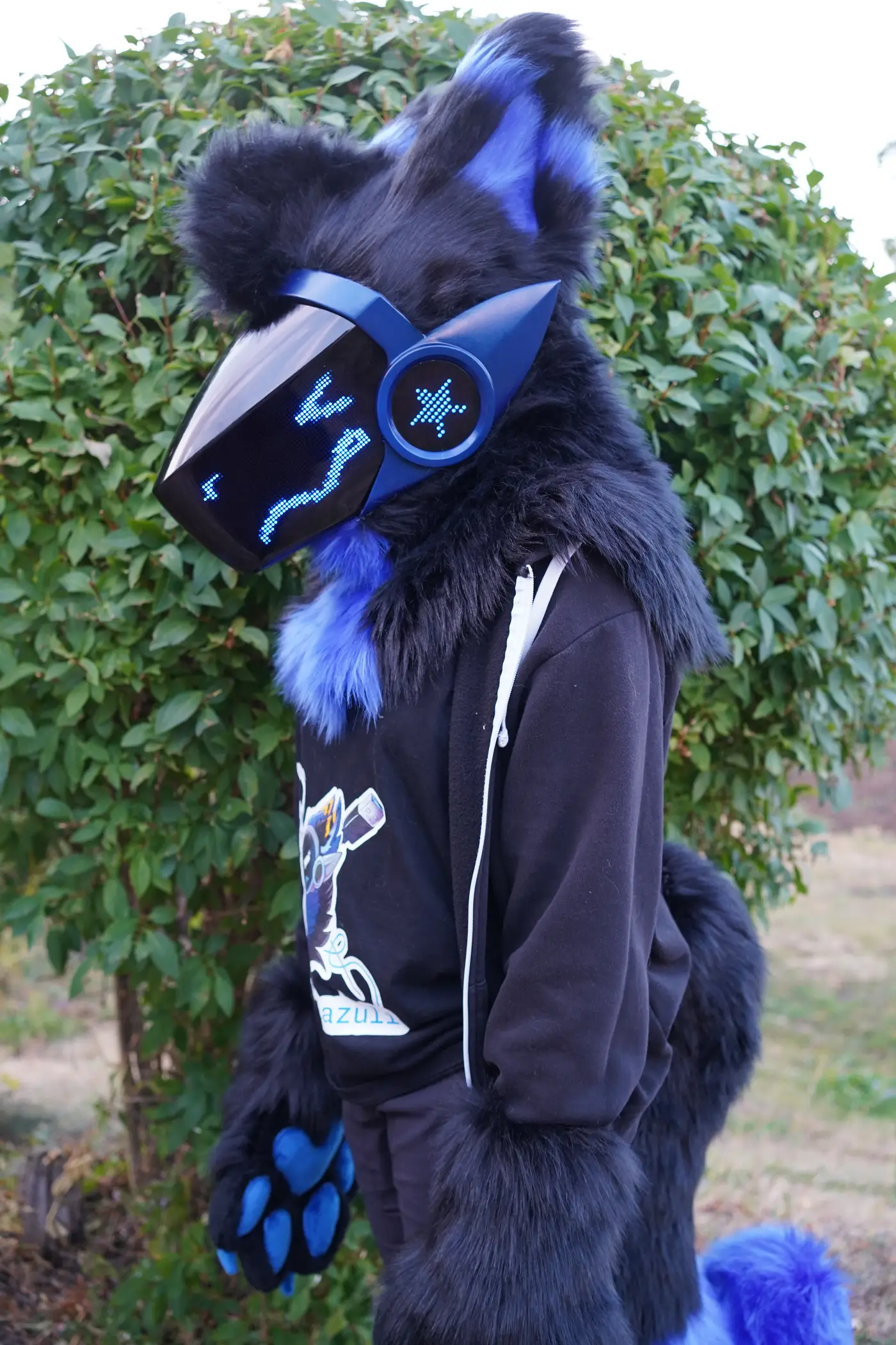 Black and blue Protogen partial by a garden bush, showing the head, hand paws, tail and blue LED face