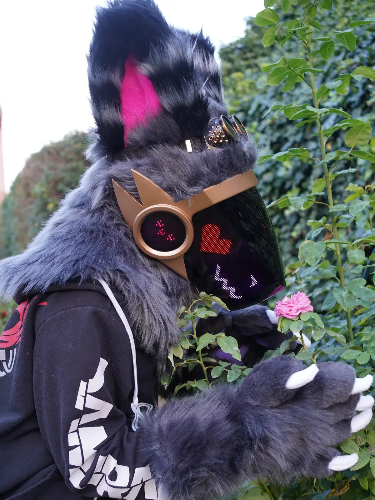 Grey Protogen full partial with pink inner ears smelling a pink rose in the garden, a red heart and a purple wavy mouth on the LED visor