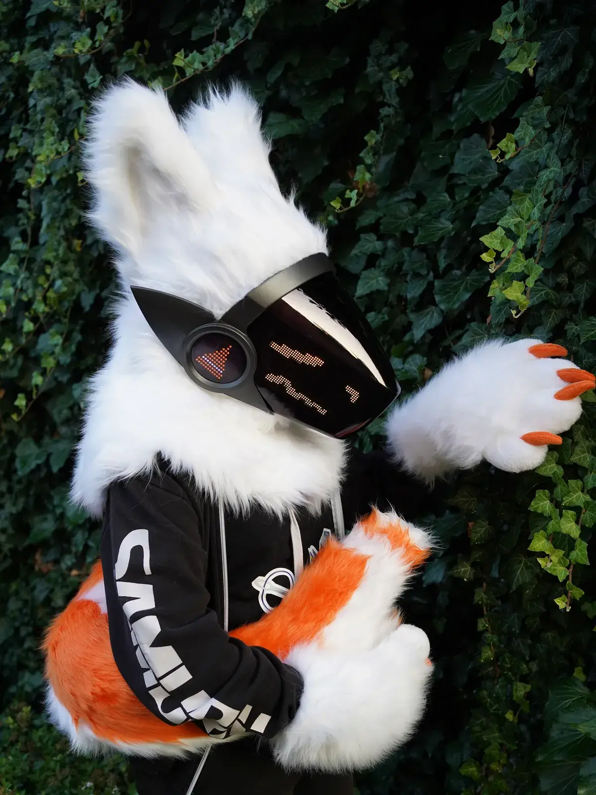 White Protogen mini partial holding its orange and white tail by an ivy wall, orange face on the LED visor