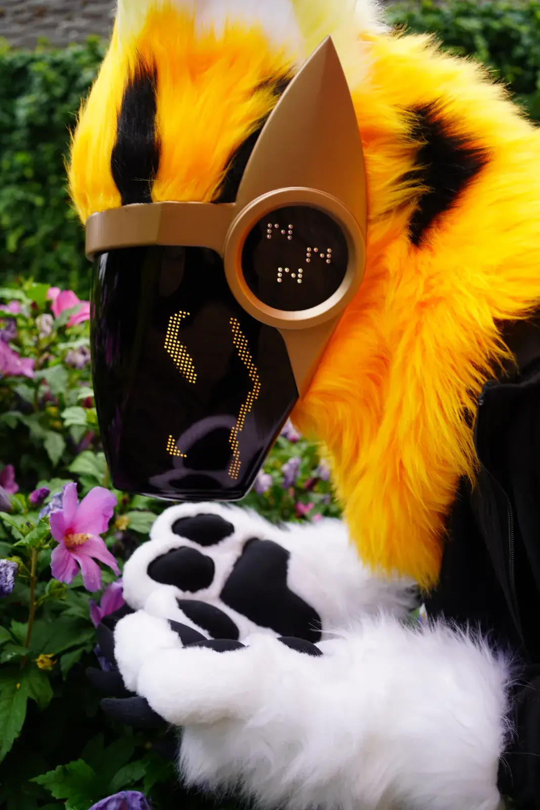 Orange Protogen mini partial with black stripes among pink hibiscus, white hand paws with black pads and a brass framed LED visor