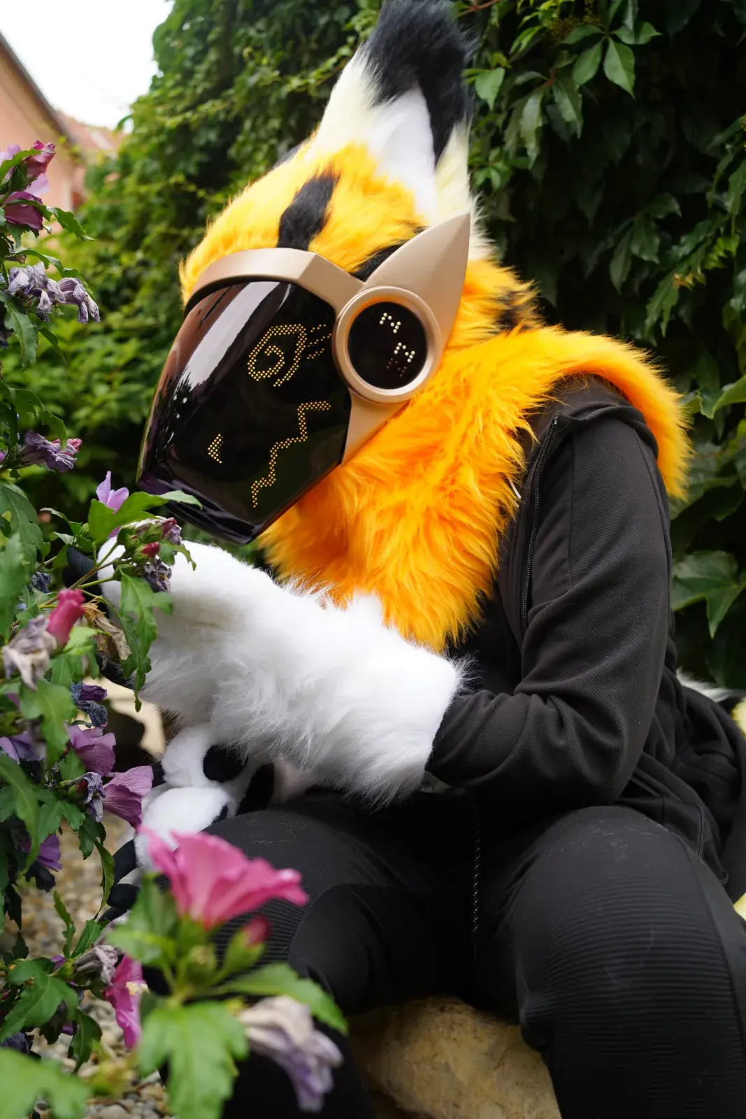 Orange Protogen mini partial with black stripes sitting in a flower bed, orange face on the LED visor