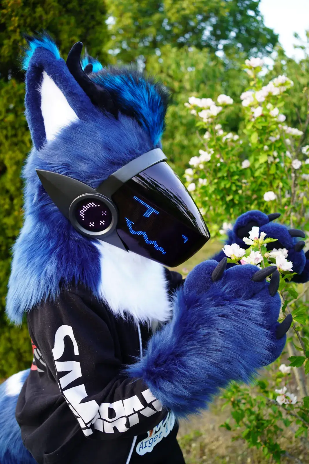 Blue and white Protogen mini partial holding a sprig of white blossoms in the garden