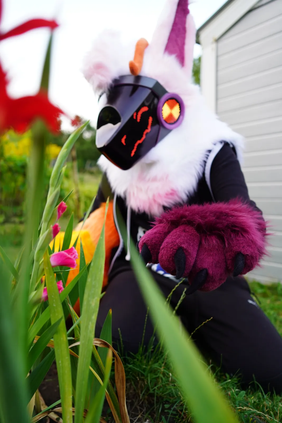 Sonantis, a white and pink Protogen mini partial with orange horns among red gladiolus, by Arget & Lazuli